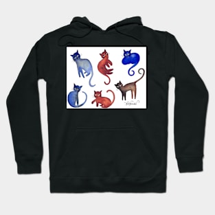 Virginia Cat Pattern Hoodie